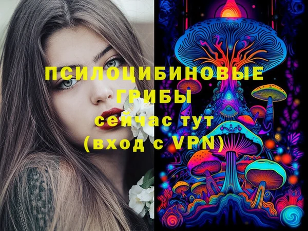 бутират Алексеевка