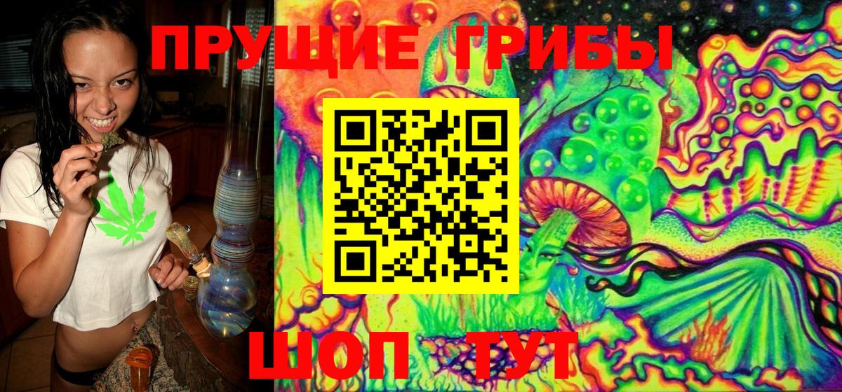 Псилоцибиновые грибы Psilocybine cubensis Добрянка